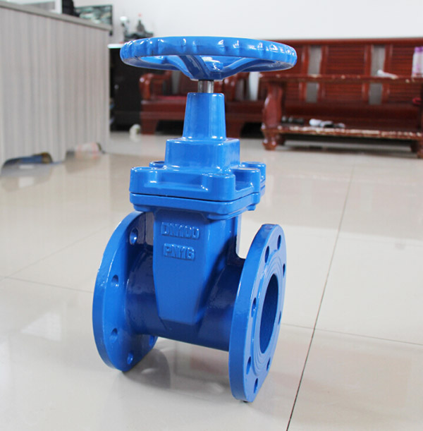 DIN standard Gate valve the actual photo of DIN standard gate valve